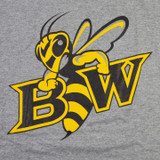 Baldwin Wallace Yellow Jackets